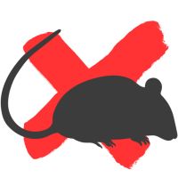 Dedetização de Ratos em Rio Preto